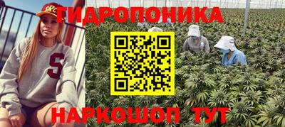 стаф Краснодар
