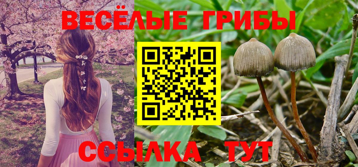 Галлюциногенные грибы мухоморы Ярцево